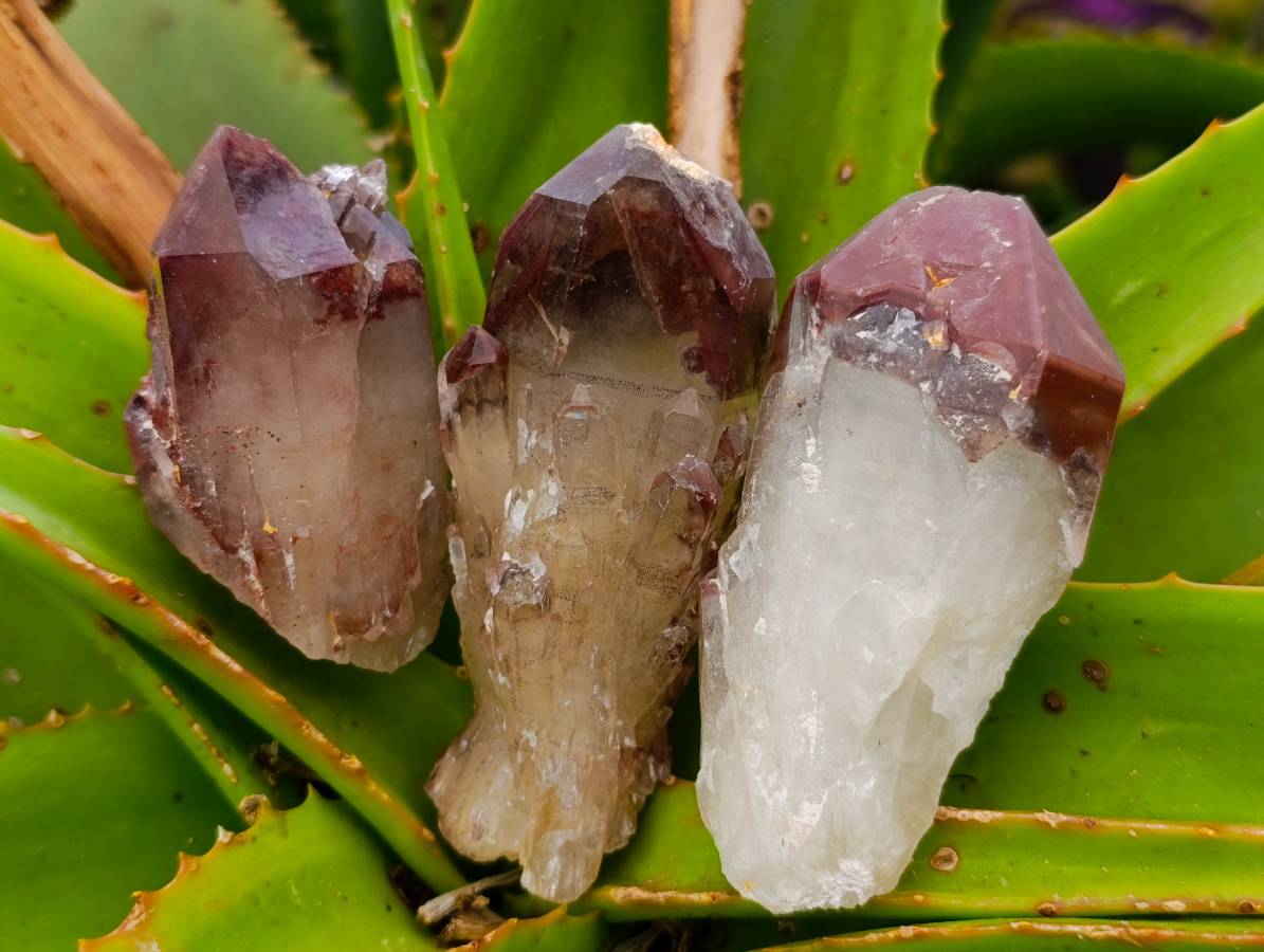 Natural Red Hematoid Quartz Crystals x 13 From Karoi, Zimbabwe - Toprock Gemstones and Minerals 