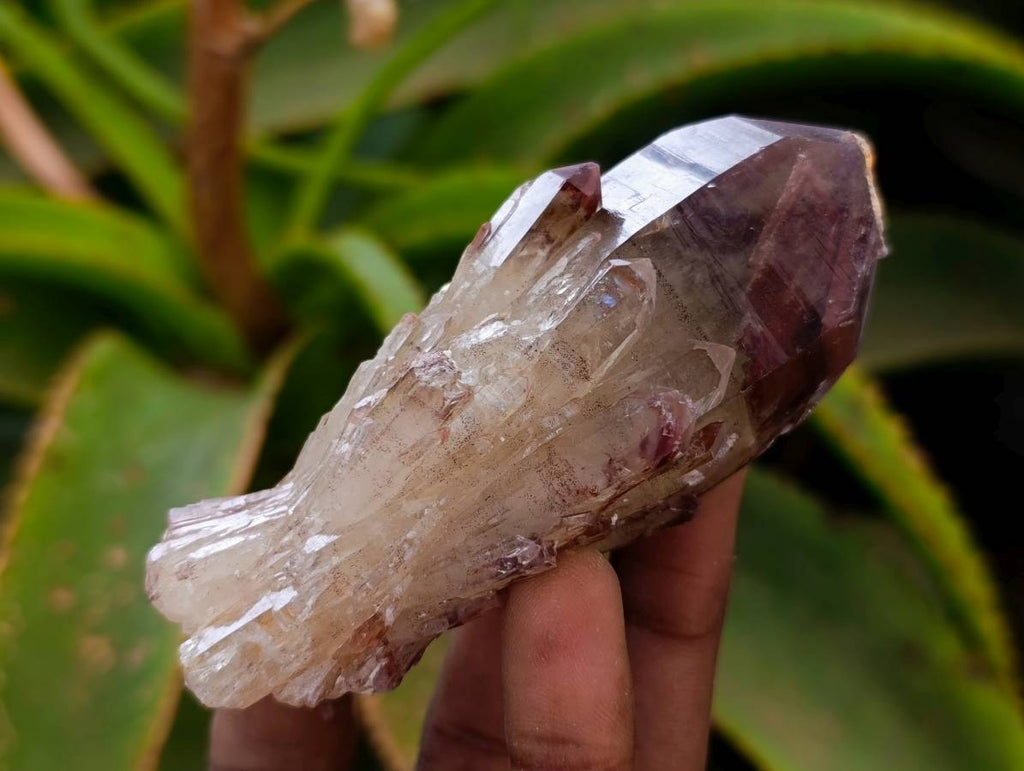 Natural Red Hematoid Quartz Crystals x 13 From Karoi, Zimbabwe - Toprock Gemstones and Minerals 