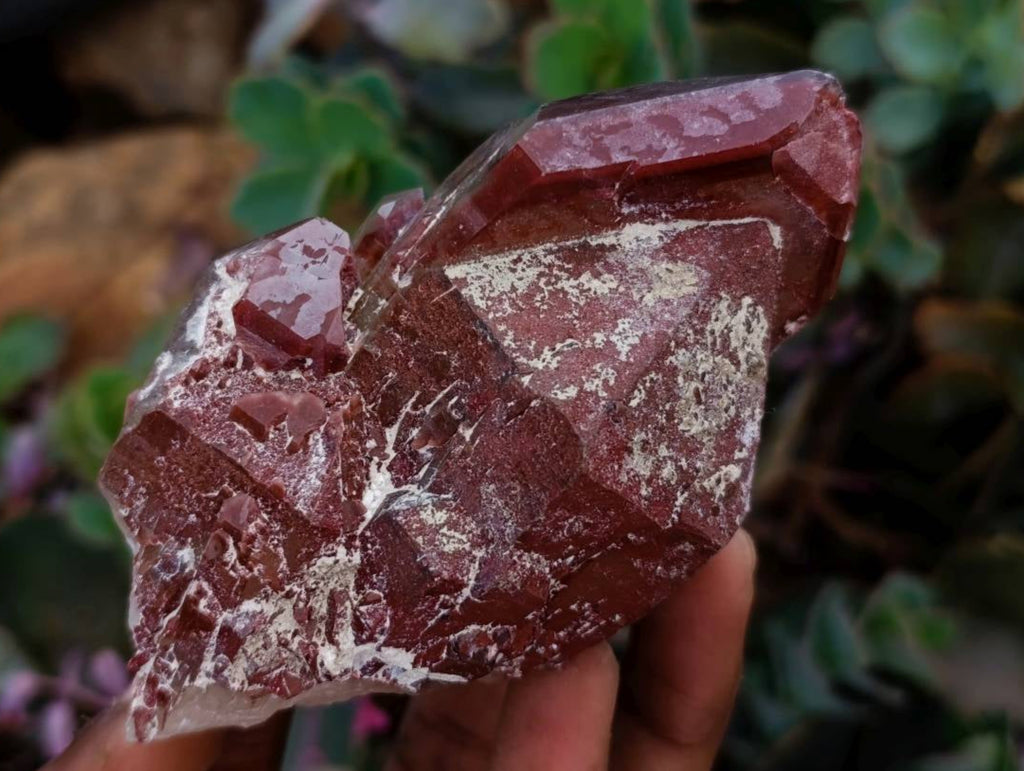 Natural Red Hematoid Quartz Crystals x 13 From Karoi, Zimbabwe - Toprock Gemstones and Minerals 