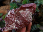 Natural Red Hematoid Quartz Crystals x 13 From Karoi, Zimbabwe - Toprock Gemstones and Minerals 