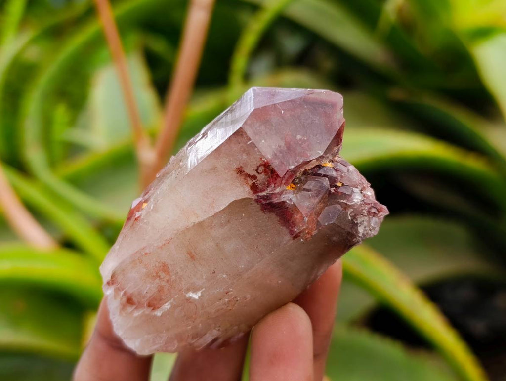 Natural Red Hematoid Quartz Crystals x 13 From Karoi, Zimbabwe - Toprock Gemstones and Minerals 