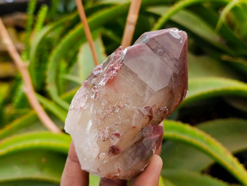 Natural Red Hematoid Quartz Crystals x 13 From Karoi, Zimbabwe - Toprock Gemstones and Minerals 