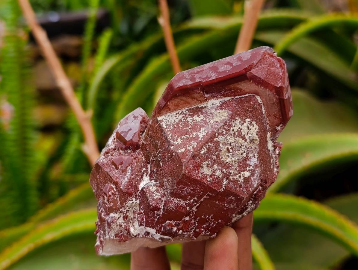 Natural Red Hematoid Quartz Crystals x 13 From Karoi, Zimbabwe - Toprock Gemstones and Minerals 