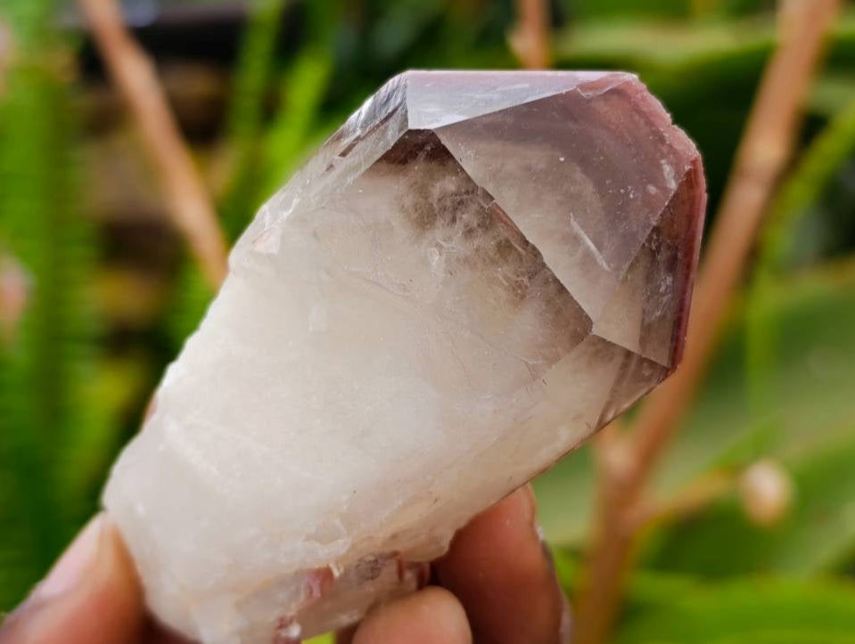 Natural Red Hematoid Quartz Crystals x 13 From Karoi, Zimbabwe - Toprock Gemstones and Minerals 