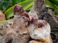 Natural Red Hematoid Quartz Crystals x 13 From Karoi, Zimbabwe