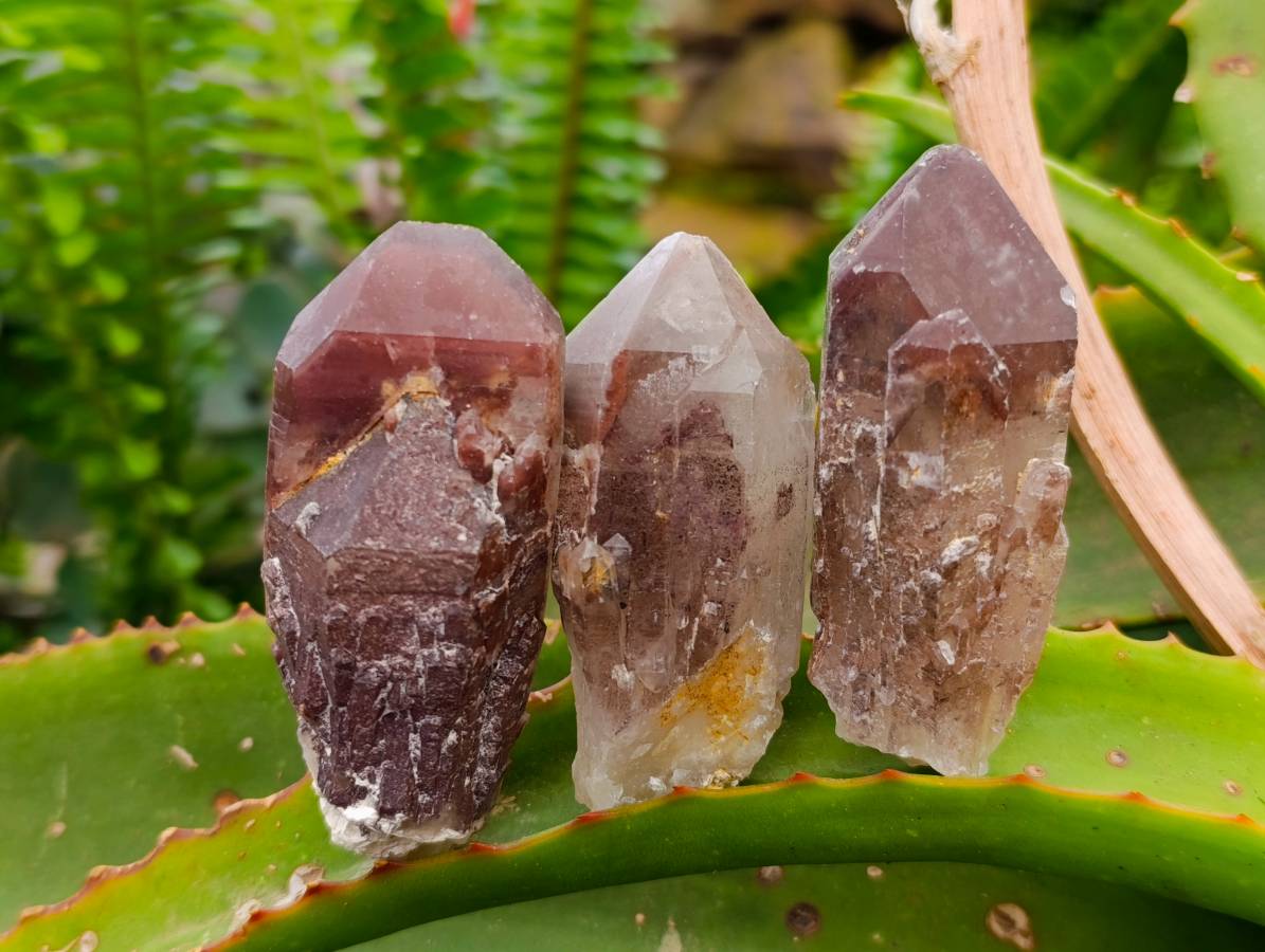 Natural Red Hematoid Quartz Crystals x 13 From Karoi, Zimbabwe - Toprock Gemstones and Minerals 