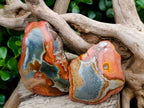 Polished On One Side Polychrome Jasper Nodules x 6 From NW Coast, Madagascar - Toprock Gemstones and Minerals 