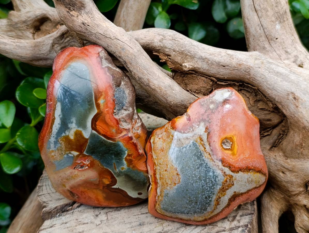 Polished On One Side Polychrome Jasper Nodules x 6 From NW Coast, Madagascar - Toprock Gemstones and Minerals 