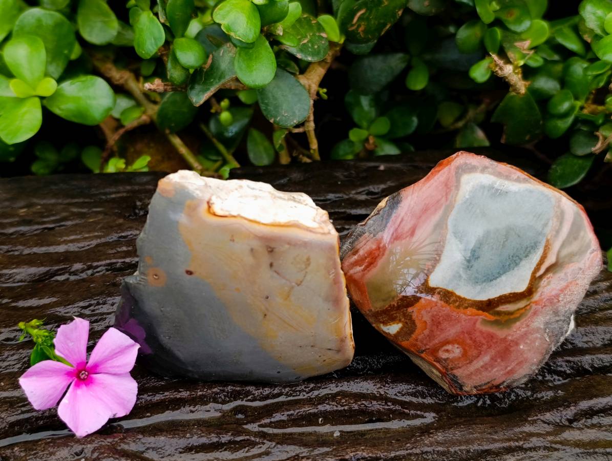 Polished On One Side Polychrome Jasper Nodules x 6 From NW Coast, Madagascar - Toprock Gemstones and Minerals 