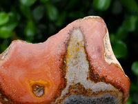 Polished On One Side Polychrome Jasper Nodules x 6 From NW Coast, Madagascar
