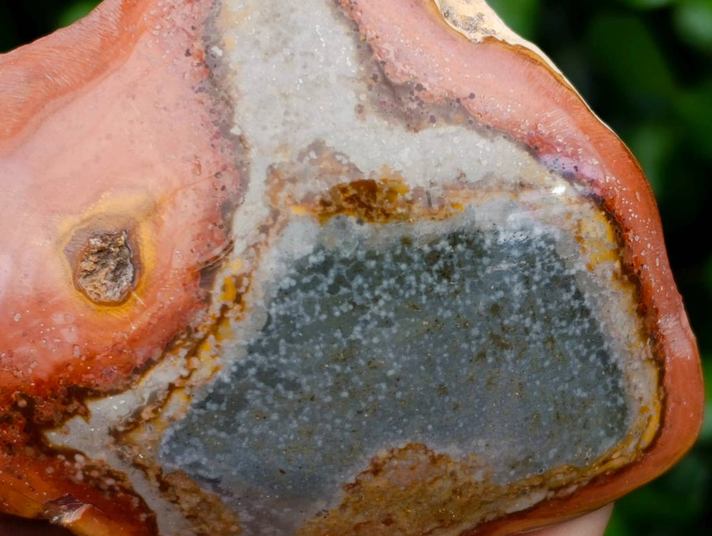 Polished On One Side Polychrome Jasper Nodules x 6 From NW Coast, Madagascar - Toprock Gemstones and Minerals 