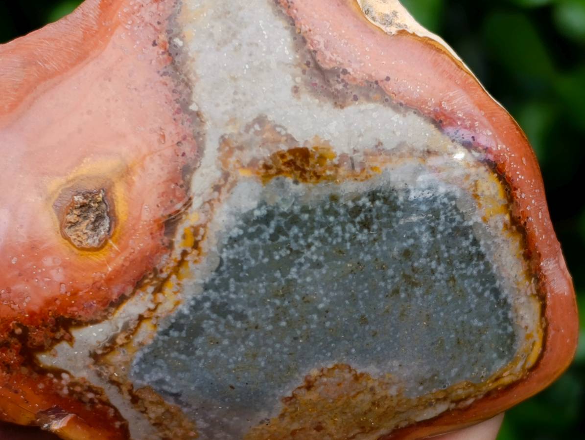 Polished On One Side Polychrome Jasper Nodules x 6 From NW Coast, Madagascar - Toprock Gemstones and Minerals 