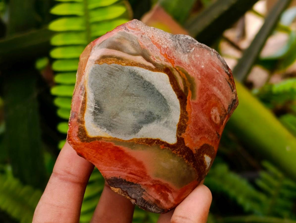 Polished On One Side Polychrome Jasper Nodules x 6 From NW Coast, Madagascar - Toprock Gemstones and Minerals 