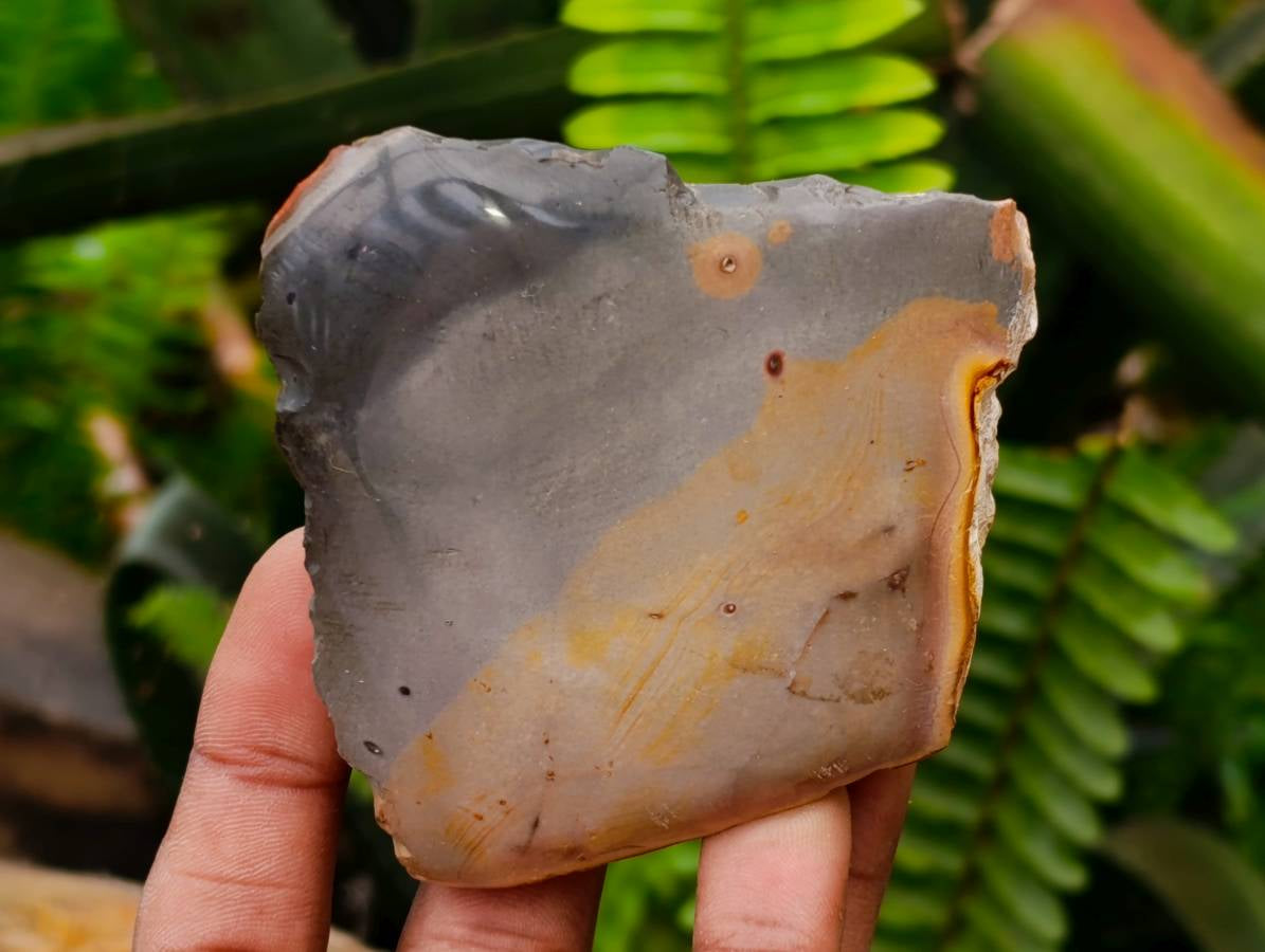 Polished On One Side Polychrome Jasper Nodules x 6 From NW Coast, Madagascar - Toprock Gemstones and Minerals 