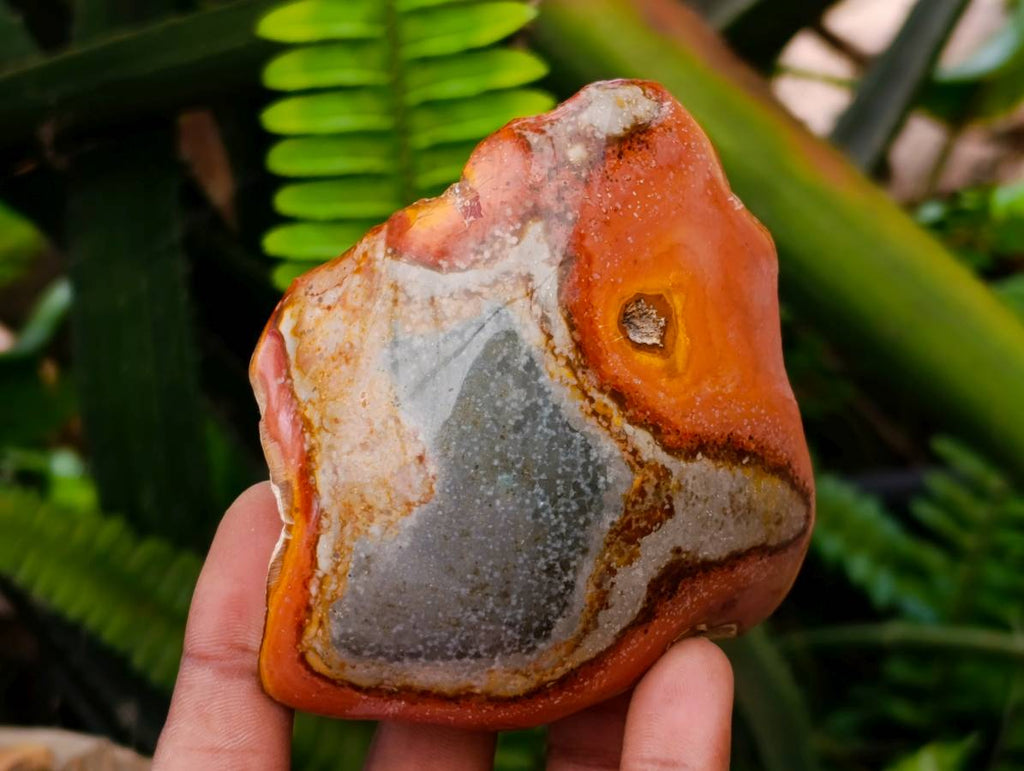 Polished On One Side Polychrome Jasper Nodules x 6 From NW Coast, Madagascar - Toprock Gemstones and Minerals 