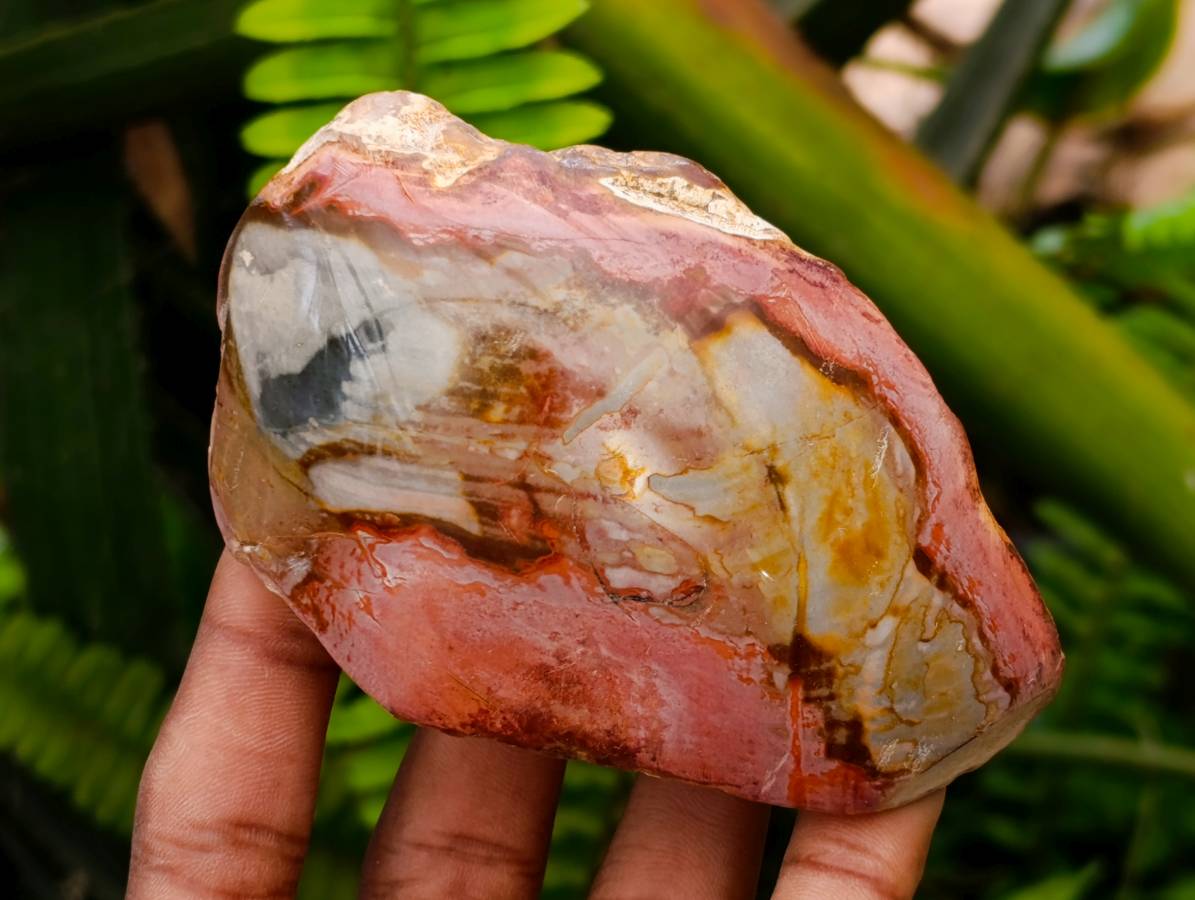 Polished On One Side Polychrome Jasper Nodules x 6 From NW Coast, Madagascar - Toprock Gemstones and Minerals 