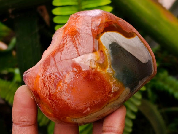 Polished On One Side Polychrome Jasper Nodules x 6 From NW Coast, Madagascar