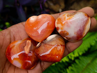 Polished Carnelian Agate Gemstone Hearts x 20 From Madagascar