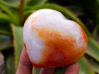 Polished Carnelian Agate Gemstone Hearts x 20 From Madagascar