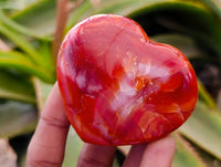 Polished Carnelian Agate Gemstone Hearts x 20 From Madagascar