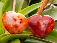 Polished Carnelian Agate Gemstone Hearts x 20 From Madagascar