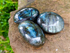 Polished Labradorite Galets x 20 From Tulear, Madagascar - Toprock Gemstones and Minerals 