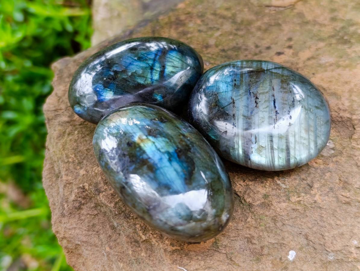 Polished Labradorite Galets x 20 From Tulear, Madagascar - Toprock Gemstones and Minerals 