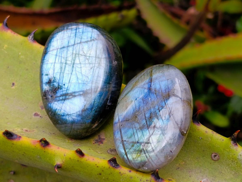 Polished Labradorite Galets x 20 From Tulear, Madagascar - Toprock Gemstones and Minerals 