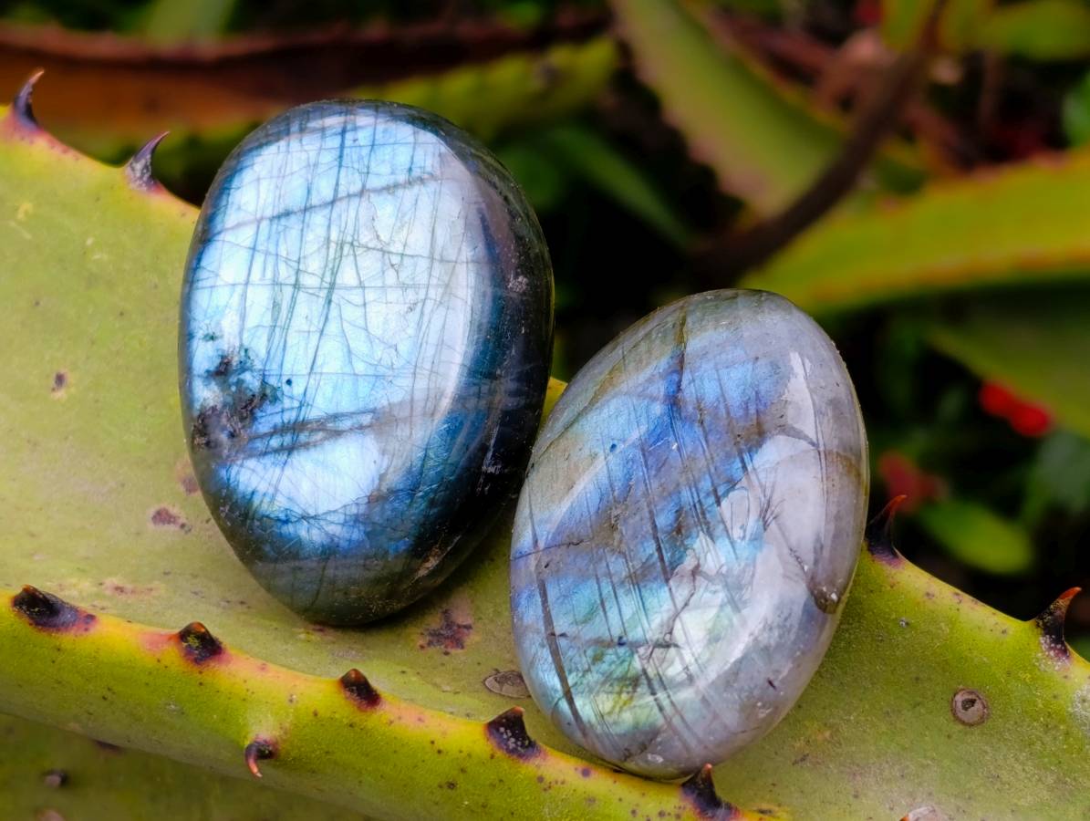 Polished Labradorite Galets x 20 From Tulear, Madagascar - Toprock Gemstones and Minerals 