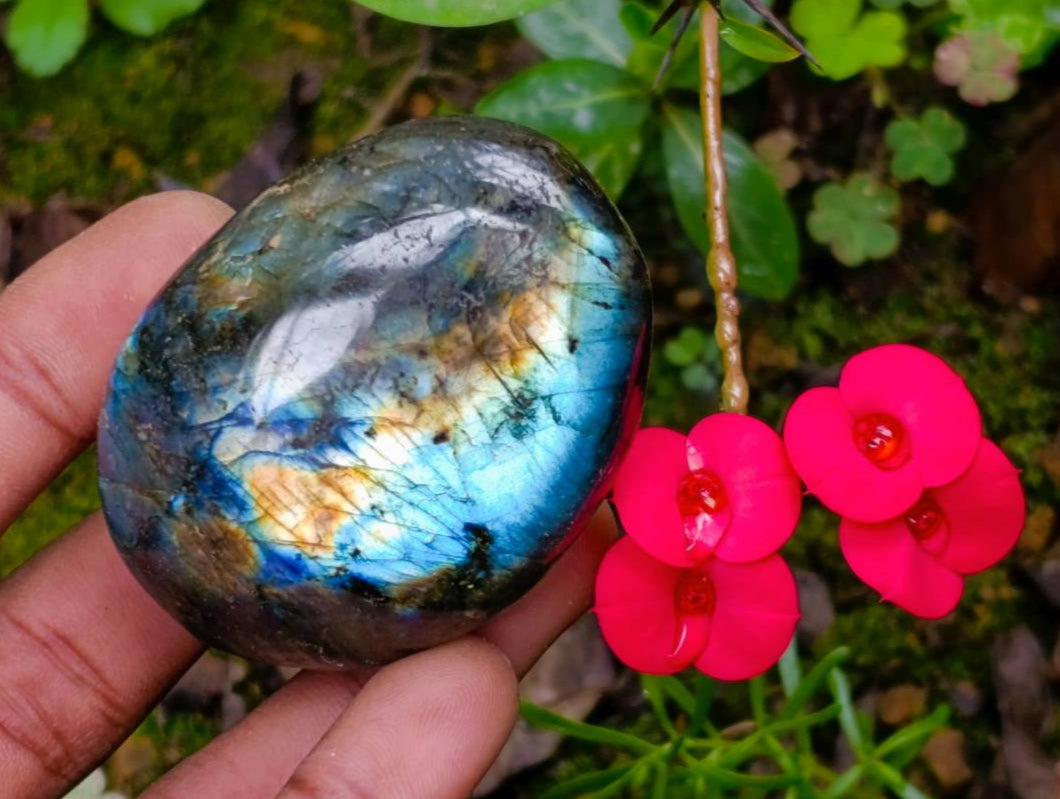 Polished Labradorite Galets x 20 From Tulear, Madagascar - Toprock Gemstones and Minerals 