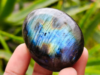 Polished Labradorite Galets x 20 From Tulear, Madagascar