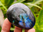 Polished Labradorite Galets x 20 From Tulear, Madagascar - Toprock Gemstones and Minerals 