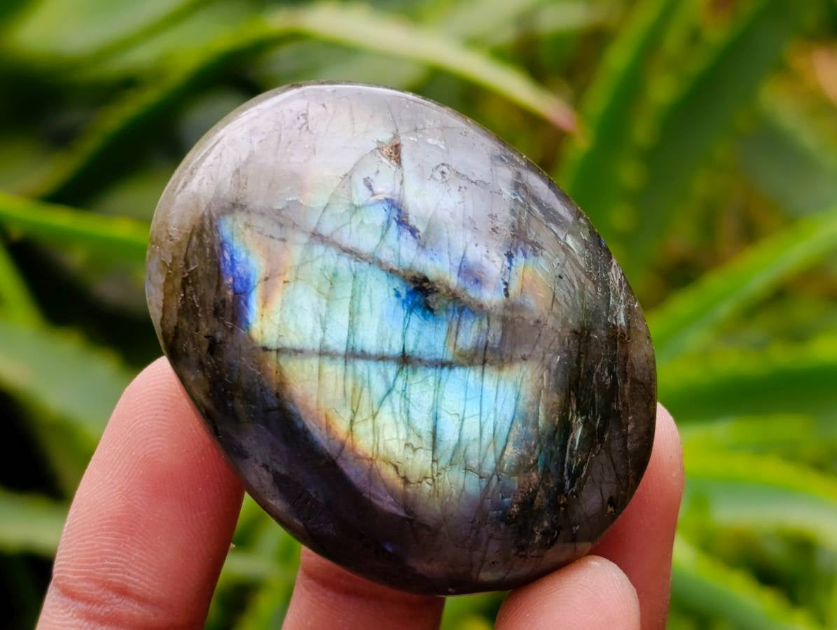 Polished Labradorite Galets x 20 From Tulear, Madagascar - Toprock Gemstones and Minerals 