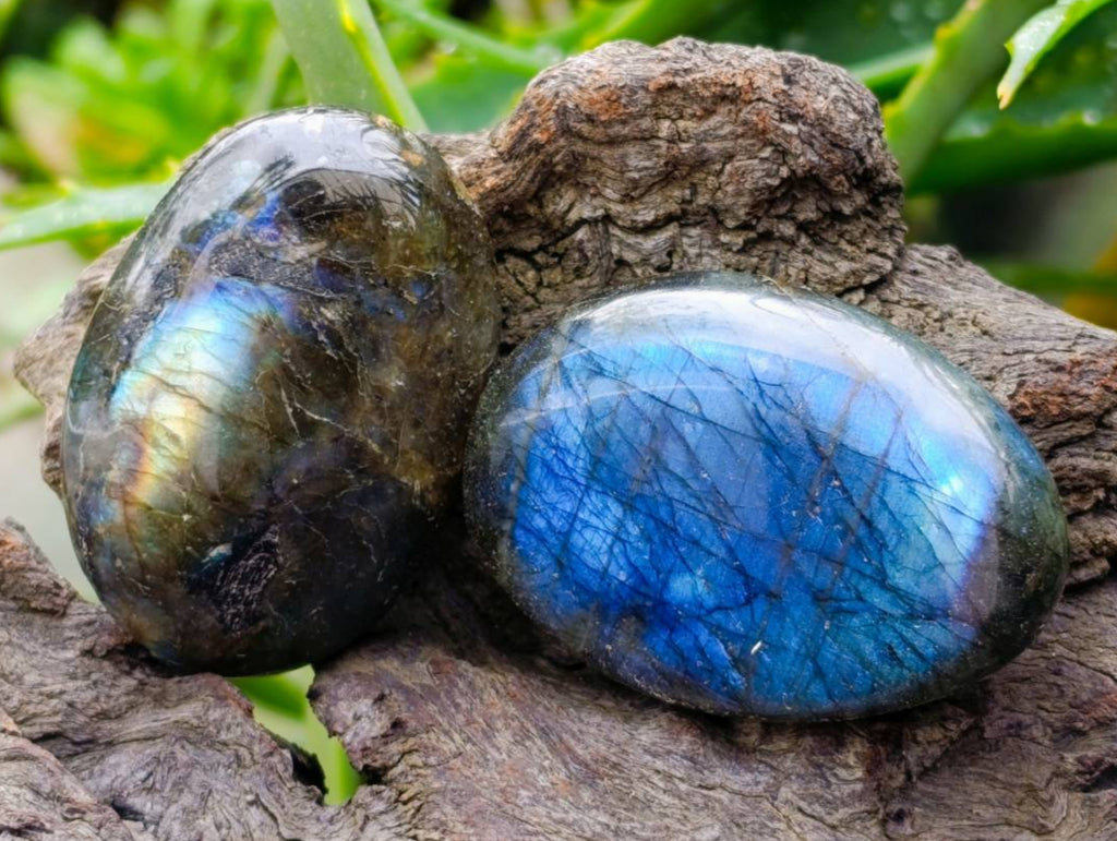 Polished Labradorite Galets x 20 From Tulear, Madagascar - Toprock Gemstones and Minerals 
