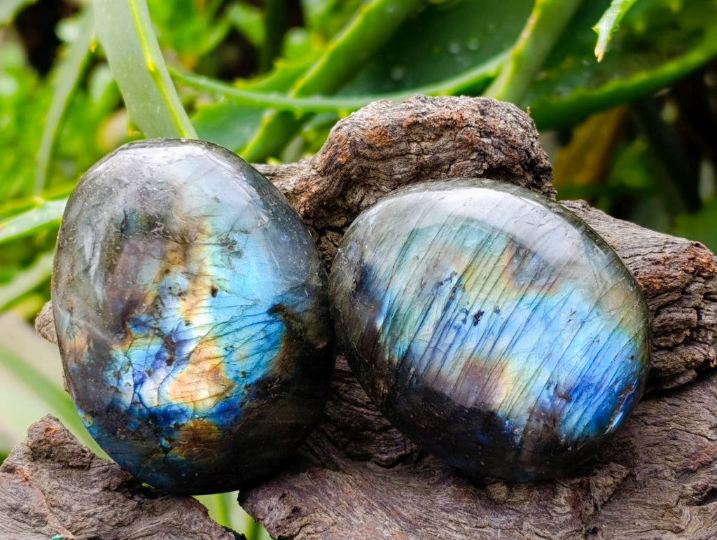 Polished Labradorite Galets x 20 From Tulear, Madagascar - Toprock Gemstones and Minerals 