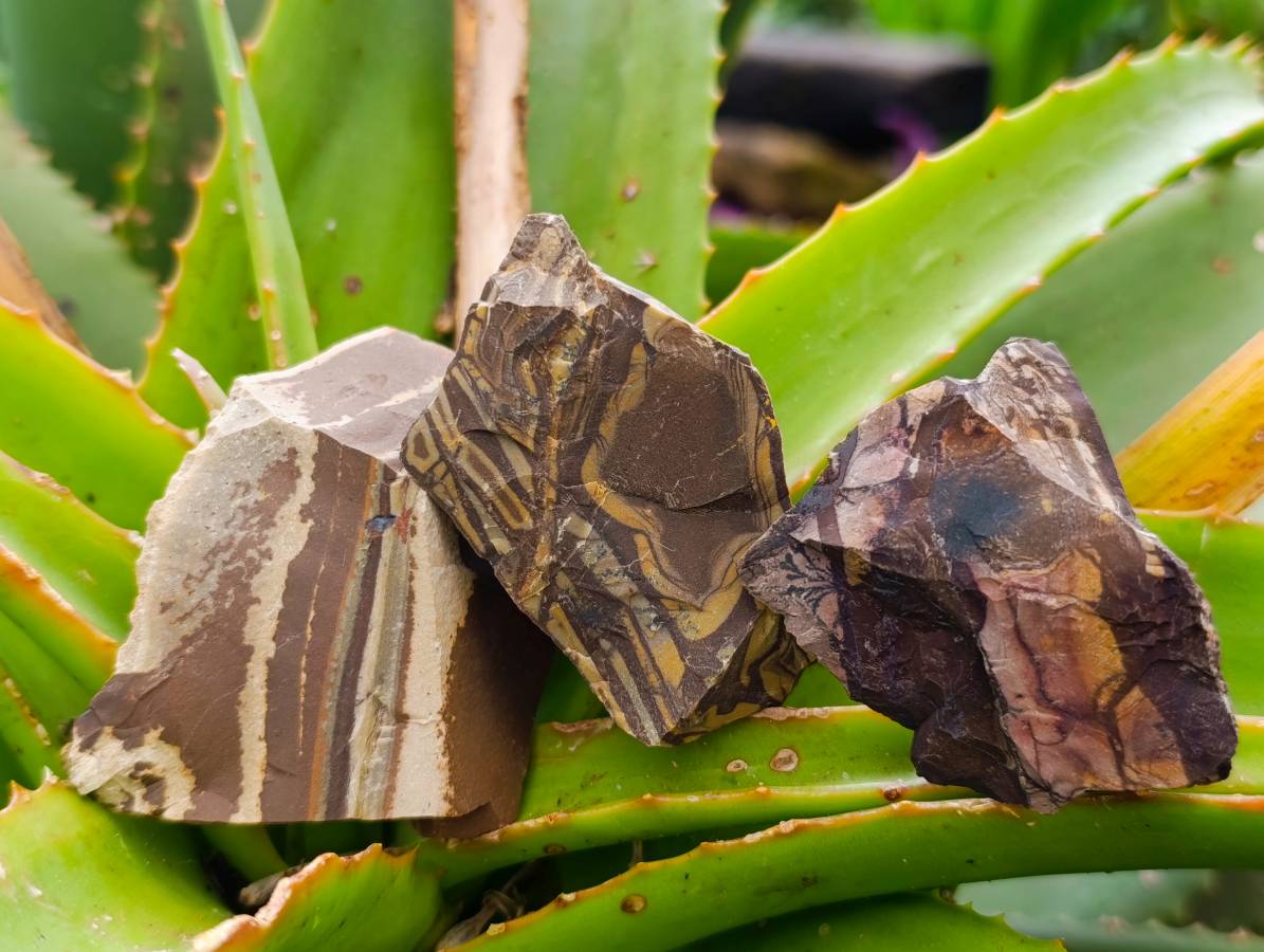 Natural Nguni Jasper Cobbed Specimens x 4.19 Kg Lot From Northern Cape, South Africa - Toprock Gemstones and Minerals 