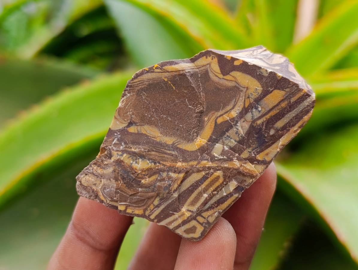 Natural Nguni Jasper Cobbed Specimens x 4.19 Kg Lot From Northern Cape, South Africa - Toprock Gemstones and Minerals 