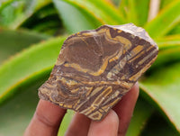 Natural Nguni Jasper Cobbed Specimens x 4.19 Kg Lot From Northern Cape, South Africa
