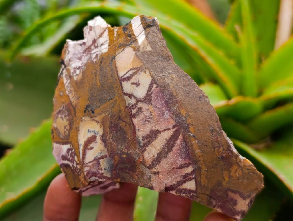 Natural Nguni Jasper Cobbed Specimens x 4.19 Kg Lot From Northern Cape, South Africa - Toprock Gemstones and Minerals 