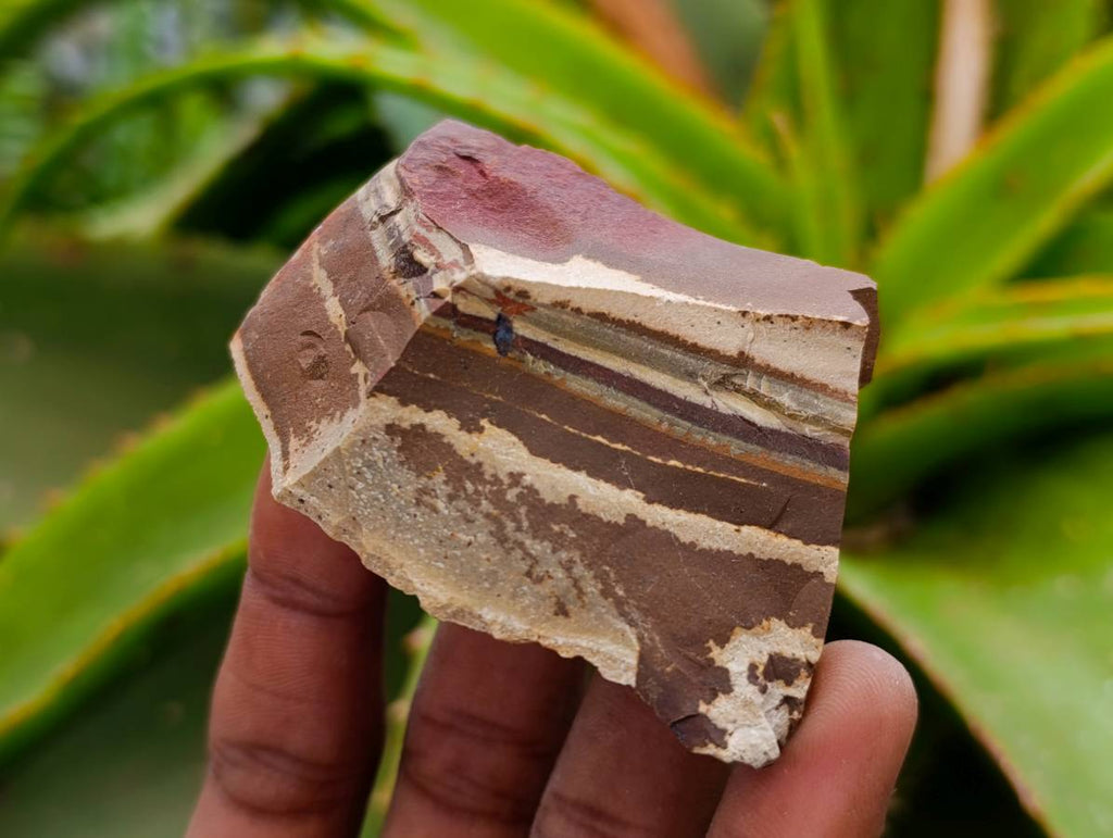 Natural Nguni Jasper Cobbed Specimens x 4.19 Kg Lot From Northern Cape, South Africa - Toprock Gemstones and Minerals 