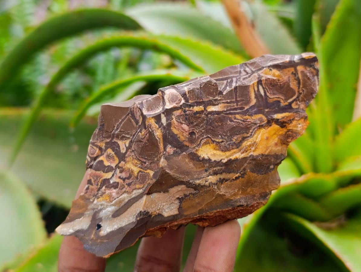 Natural Nguni Jasper Cobbed Specimens x 4.19 Kg Lot From Northern Cape, South Africa - Toprock Gemstones and Minerals 