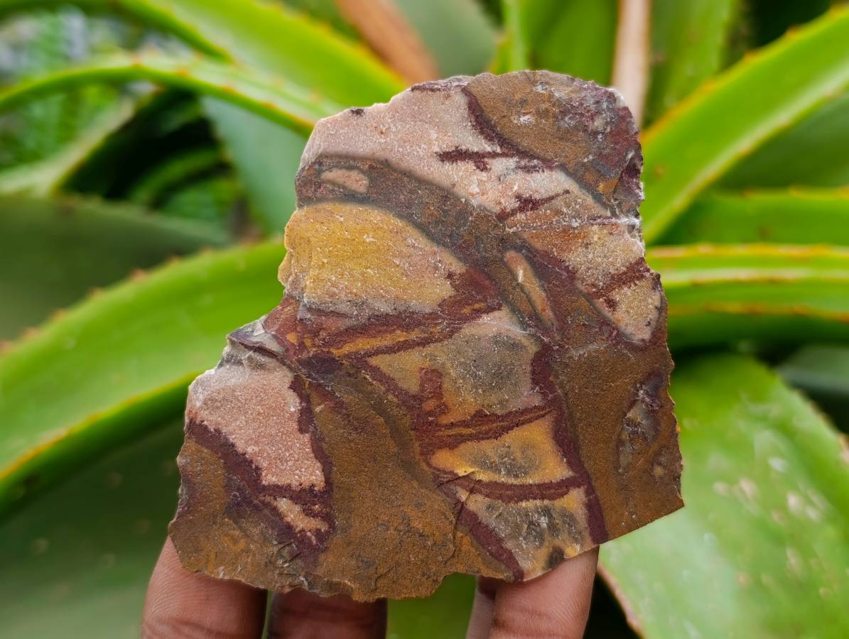 Natural Nguni Jasper Cobbed Specimens x 4.19 Kg Lot From Northern Cape, South Africa - Toprock Gemstones and Minerals 