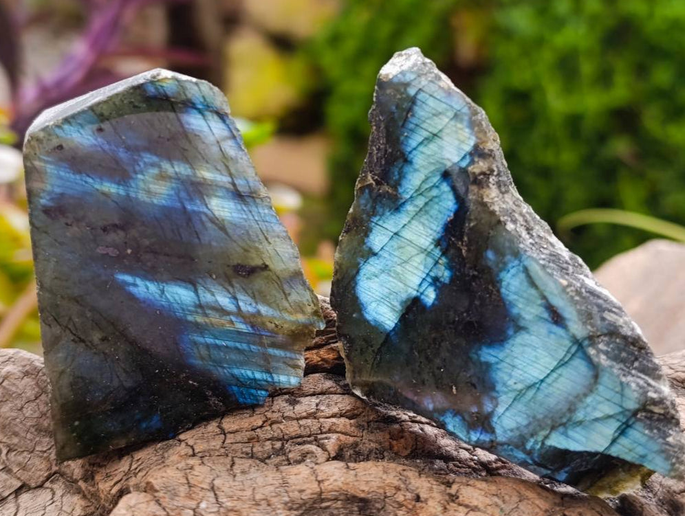 Polished On One Side Labradorite x 12 From Tulear, Madagascar - Toprock Gemstones and Minerals 