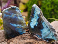 Polished On One Side Labradorite x 12 From Tulear, Madagascar