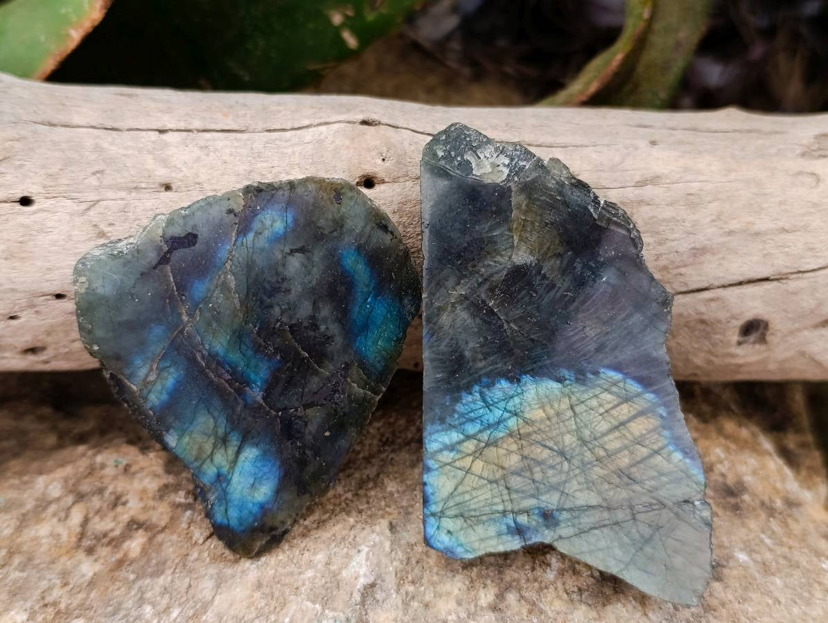Polished On One Side Labradorite x 12 From Tulear, Madagascar - Toprock Gemstones and Minerals 