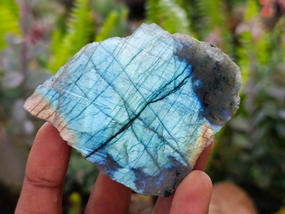 Polished On One Side Labradorite x 12 From Tulear, Madagascar - Toprock Gemstones and Minerals 