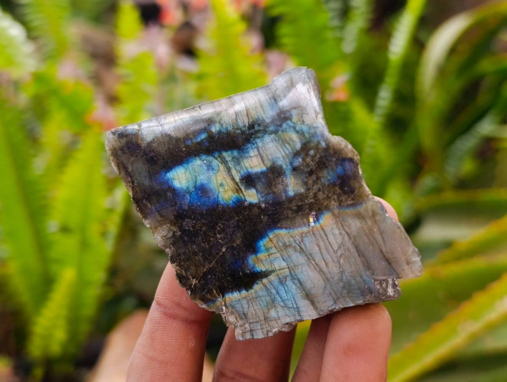 Polished On One Side Labradorite x 12 From Tulear, Madagascar - Toprock Gemstones and Minerals 