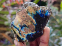 Polished On One Side Labradorite x 12 From Tulear, Madagascar