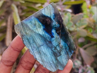 Polished On One Side Labradorite x 12 From Tulear, Madagascar