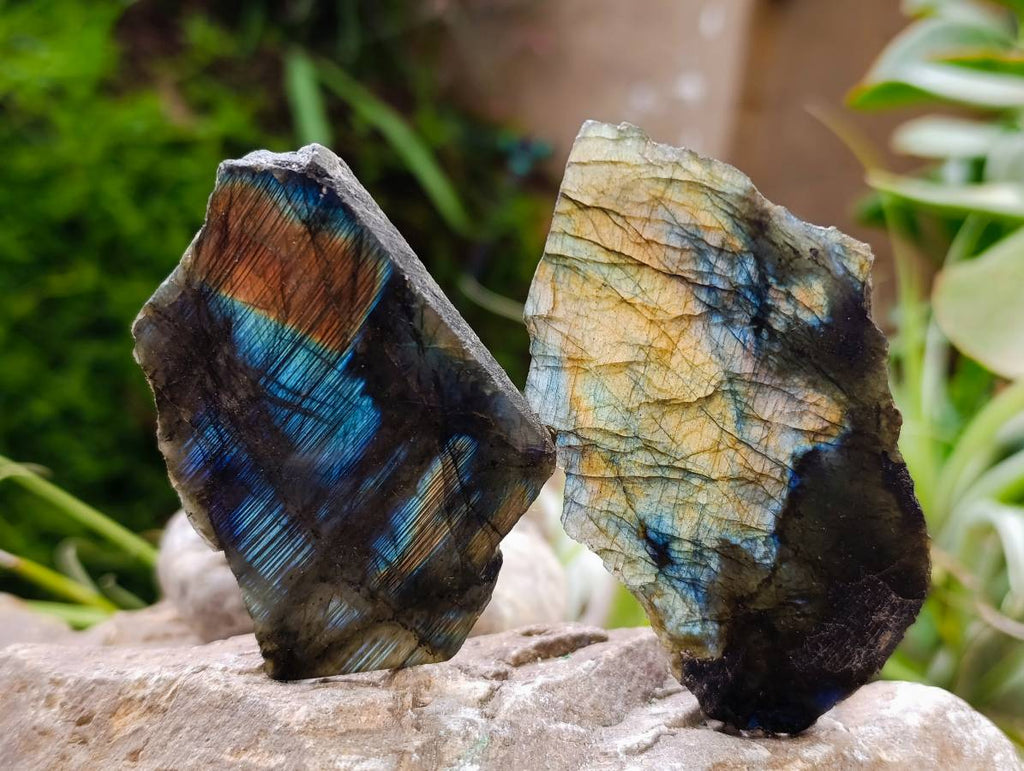 Polished On One Side Labradorite x 12 From Tulear, Madagascar - Toprock Gemstones and Minerals 